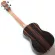 Wholesale a lot of 26 inches, all 26 -inch, Blagwood, Ukulele, Ukulele, with Truss ROD and Gigbag and all accessories.