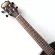 Wholesale a lot of 26 inches, all 26 -inch, Blagwood, Ukulele, Ukulele, with Truss ROD and Gigbag and all accessories.