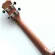 Wholesale a lot of 26 inches, all 26 -inch, Blagwood, Ukulele, Ukulele, with Truss ROD and Gigbag and all accessories.