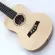 Soprano Ukulele, 21 inch coil with Ukulele accessories with gig