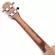 Soprano Ukulele, 21 inch coil with Ukulele accessories with gig