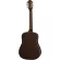 Epiphone® LIL Tex 36 -inch electric guitar, Travel Guitar shape, top solid wood + free, free bag, guitar
