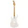 Fender® Squier® Classic Vibe 50s Strat MN กีตาร์ไฟฟ้า ปิ๊กอัพซิงเกิ้ลคอยล์ คอไม้เมเปิ้ล + แถมฟรีคันโยก ** ประกันศูนย์ 1