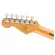 Fender® Squier® Classic Vibe 50s Strat MN กีตาร์ไฟฟ้า ปิ๊กอัพซิงเกิ้ลคอยล์ คอไม้เมเปิ้ล + แถมฟรีคันโยก ** ประกันศูนย์ 1
