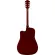 FANDER® FA-125CE 41-inch electric guitar, Dreadnough shape, coated coated coating, tuner function ** use Fishman® ** + free guitar bags