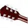 FANDER® FA-125CE 41-inch electric guitar, Dreadnough shape, coated coated coating, tuner function ** use Fishman® ** + free guitar bags