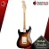 Fender Player Stratocaster PF electric guitar, world -class electric guitar, classic Stratocaster with premium free gifts - red turtles