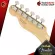 กีต้าร์ไฟฟ้า Fender American Performer Telecaster【ฟรี】ของแถม Premium พร้อม SETUP จัดส่งฟรี - เต่าแดง