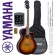 Yamaha® APX600FM กีตาร์โปร่งไฟฟ้า 41 นิ้ว Sunburst ไม้เฟลมเมเปิ้ล ทรง Thinline มีเครื่องตั้งสายในตัว + พร้อมของแถม ** ประกันศูนย์ 1 ปี **