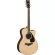 YAMAHA® FSX830C 41 -inch electric guitar, top solid wood, concert style, concave neck with a built -in strap + free guitar bag
