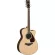 Yamaha® FSX830C กีตาร์โปร่งไฟฟ้า 41 นิ้ว ไม้ท็อปโซลิดสปรูซ ทรง Concert คอเว้า มีเครื่องตั้งสายในตัว  + ฟรีกระเป๋ากีตาร์