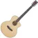 SQOE WD-41 / WD-41 JF 41-inch acoustic guitar, Dreadnough style, genuine Top Sol, Stepru / Mahogani coated ** Spain guitar brand **