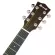 PARAMOUNT QAG504 Airy Guitar / QAG504E 41-inch electric guitar, GA, GA, TOP SECL SOL SELS / Rose Wood, SE-40 Pickups for Qag504E