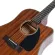 Paramount CD60CEM Mahogany wood, both body / cd60ces, spruce / Mahokani 41 -inch electric guitar coating + free bag & kapo & pick * ** insurance 1