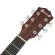 Paramount CD60CEM Mahogany wood, both body / cd60ces, spruce / Mahokani 41 -inch electric guitar coating + free bag & kapo & pick * ** insurance 1