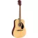 FANDER® FA-125 Acoustic Guitar, 41 inch acoustic guitar, Dreadnought shape, shadow coating + free guitar bag