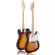 Paramount PE202 กีตาร์ไฟฟ้า ทรง Tele 22 เฟร็ต คอเมเปิ้ล ปิ๊กอัพผสม Telecaster Electric Guitar