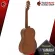 กีต้าร์คลาสสิคไฟฟ้า Yamaha CX40 [ฟรีของแถมครบชุด] [พร้อมSet Up&QCเล่นง่าย] [ประกันจากศูนย์] [แท้100%] [ส่งฟรี] เต่าแดง