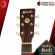 Kazuki All Soul Series [free gift set] [with Set Up & QC Easy to play] [Insurance from the center] [100%authentic] [Free delivery] Turtle