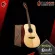 Kazuki All Soul 2 Rosewood [Free gift set] [with Set Up & QC Easy to play] [Insurance from the center] [100%authentic] [Free delivery] Turtle