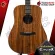 [Bangkok & Metropolitan Region Send Grab Quick] Airy guitar, Amulet, EDX1, EDX1E [Free gifts] [with SET Up & QC easy to play] [Insurance from the center] [100%authentic] [Free delivery] Red turtle
