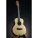 Gusta Mini 3E II กีต้าร์โปร่ง Acoustic Guitar Mudsic Arms