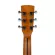 Gusta SDM5CE กีต้าร์โปร่ง Acoustic Guitar Music Arms