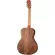 Gibson® G-range Standard, 41 inch Guitar, L-500, Sitka Spruce / Walnut genuine Sitka Slinut with Gibson Player Port ™ + Free Soft Case & Premium **
