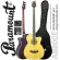 Paramount AB80CEN Electric Base Guitar Base guitar 45.5 " / 22 Frets, Spruer, Pickup 4-Band, XLR + free pocket, free bag ** 1 year insurance **