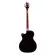 Paramount AB80CEN Electric Base Guitar Base guitar 45.5 " / 22 Frets, Spruer, Pickup 4-Band, XLR + free pocket, free bag ** 1 year insurance **