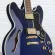Epiphone® Sheraton II Pro, Semi-Hollow Electric Guitar 22 Fret Body Maple Maple wooden neck/walnut, Pickup Probucker ™ 2 & 3 ** 1 year warranty **