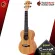 Ukulele ENYA EUS-5D, EUC-25D, EUT-25D [Free gifts] [with SET Up & QC Easy to play] [100%authentic from zero] [Free delivery] Turtle