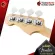 เบสไฟฟ้า Fender Player Precision Bass MN , Player Precision Bass PF [ฟรีของแถม] [พร้อมSet Up&QCเล่นง่าย] [ประกันจากศูนย์] [แท้100%] [ส่งฟรี] เต่าเเดง