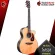 [Bangkok & Metropolitan Region Send Grab Quick] Airy guitar, Saga SF800 Series [free gift] [with Set Up & QC easy to play] [Insurance from zero] [Free delivery] Red turtle