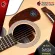 [Bangkok & Metropolitan Region Send Grab Quick] Airy guitar, Saga SF800 Series [free gift] [with Set Up & QC easy to play] [Insurance from zero] [Free delivery] Red turtle