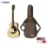 YAMAHA JR2S Acoustic Guitar กีต้าร์โปร่งยามาฮ่า รุ่น JR2S Included Guitar Bag พร้อมกระเป๋ากีต้าร์ภายในกล...