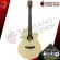[Bangkok & Metropolitan Region Send Grab Quick] Electric guitar kazuki mars series Om1TAC [free free gift] [with Set Up & QC] [Insurance from the center] [100%authentic] [Free delivery] Turtle