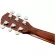 Fender® Acoustic Guitar กีตาร์โปร่ง 41 นิ้ว ไม้ท็อปโซลิดสปรูซ รุ่น CD60S ** ใช้สายกีต้าร์โปร่ง Fender® ของแท้ **