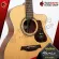กีต้าร์โปร่ง Mantic GT10GC ราคาสบายกระเป๋า ทรง GA Cutaway สวยหรูหรา พร้อมของแถมสุด Premium 10 รายการ จัดส่งฟรี - เต่าแดง