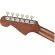 Fender® Malibu Player ปี 2022 กีตาร์โปร่งไฟฟ้า 39 นิ้ว ไม้ท็อปโซลิดสปรูซ/มะฮอกกานี ปิ๊กอัพ Fishman® ** ประกันศูนย์ 1 ปี **