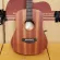 Takla M-100 Airy Guitar, 34 inches, free gift, Mahak wood, Takla M100