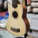 Ready to send Ukulele So Prano Overspeed UK21-OS-IS. Free picker bag Ukulele Soprano 21 inch.