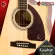 Epiphone J-45 Studio, J-45EC Studio [Free gift] [with Set Up & QC easy to play] [100%authentic from zero] [Free delivery] Red turtle