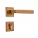 Himalia door lock Suitable for a simple modern building in the building that pulled the golden rose color door, opaque and black black.