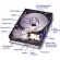 Seagate HDD 1 TB SKYHAWK Memory hard disadvantage for CCTV -Green SATA3 ST1000VX005