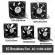 GDSTIME EC Brushless Cooling Fan AC 110V 120V 220V 240V BALL BEARING AXIAL FAN 60mm 80mm 90mm 120mm