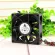 Dc 12v Ball Bearing Fan Cooling Ffb0812eh 8025 80mm 0.80a High Speed Cfm Air Flow 4 Wire With Pwm Support
