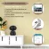 Sunsee Digital 1080P YCC365 Plus Private Model Pan/Tilt Baby Monitor Wifi IP Camera Cloud Storage Automatic Tracking