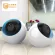 Sunsee Digital Hot IP Wifi Wireless P2P Home Surveillance S1080P Hot Sell Cloud Security Camera Detection Auto Tracking HD Wifi IP Camera CCTV Camera