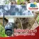 THAIFLIX [ของแท้ประกันศูนย์]แผงโซล่าร์เซลสำเร็จรูป​ รุ่น SL60-30AH  ใช้งานกับกล้องวงจรปิดและอุปกรณ์ DC12V แบตเตอรี่ 30AH